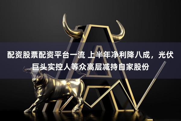 配资股票配资平台一流 上半年净利降八成，光伏巨头实控人等众高层减持自家股份